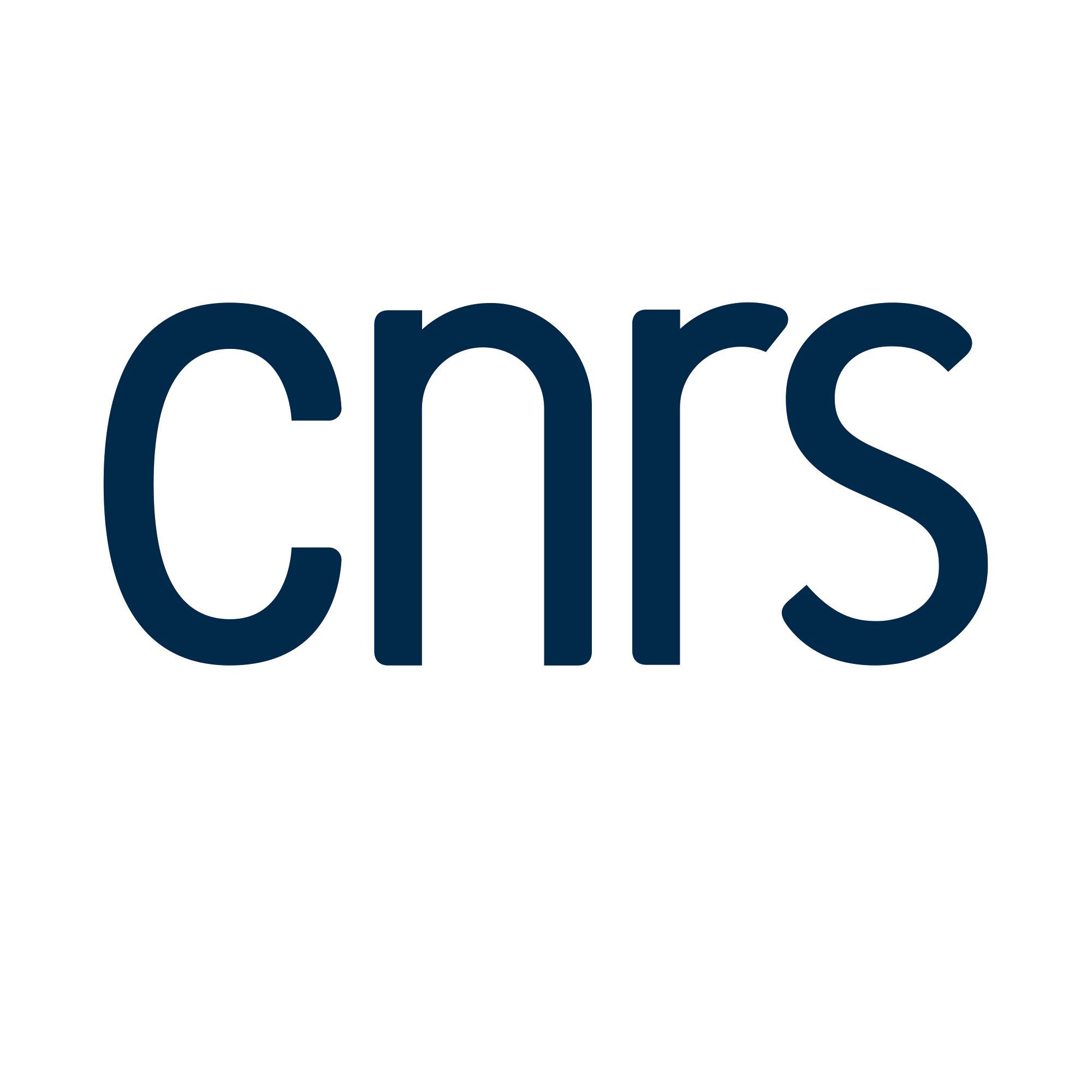 CNRS Logo